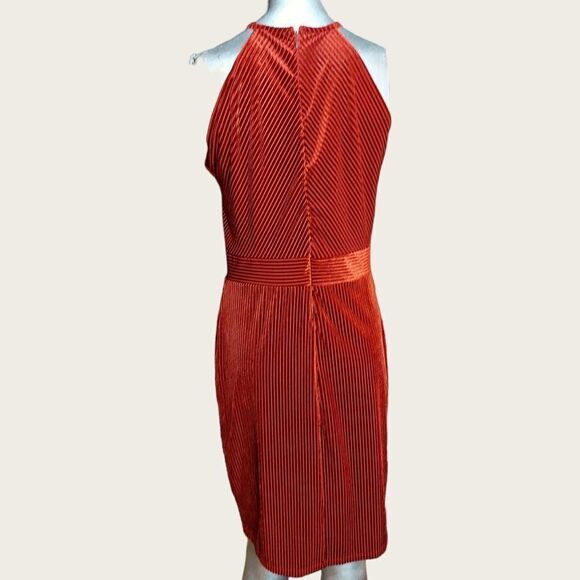 Dynamite Striped Velvet Autumn Midi Dress - Picture 7 of 10